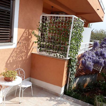 Apartmani Lina أوماغ المظهر الخارجي الصورة